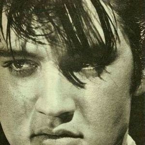 Meet your Posher, Bettina